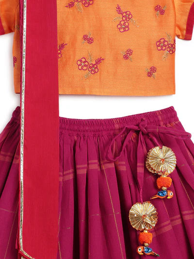 Bahaar Lehenga Set-Pink